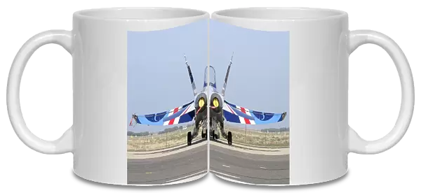 Boeing F18 RaF in special anniversary livery
