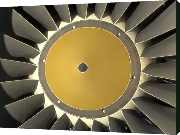 Engines: Rolls Royce RB211
