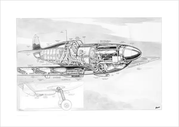 Supermarine Spitfire Cutaway Drawing