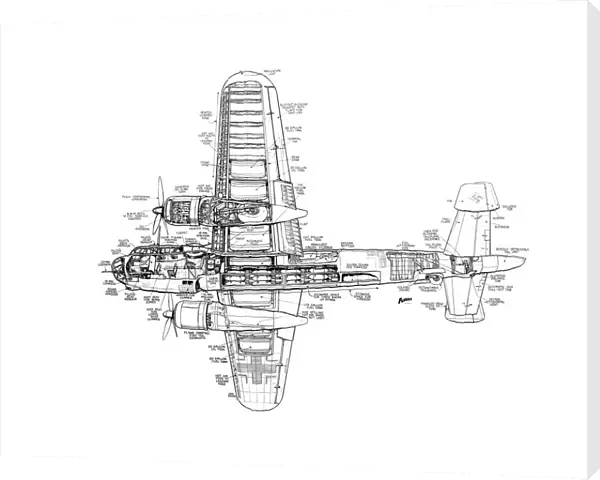 Dornier Do217 Cutaway Drawing
