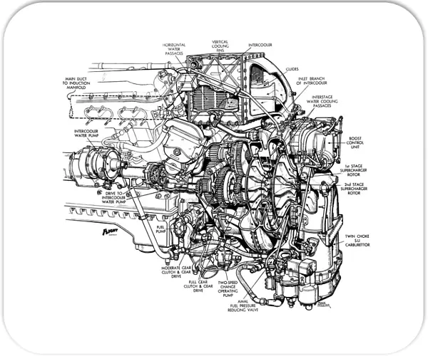 Rolls Royce Merlin 61 Cutaway Drawing