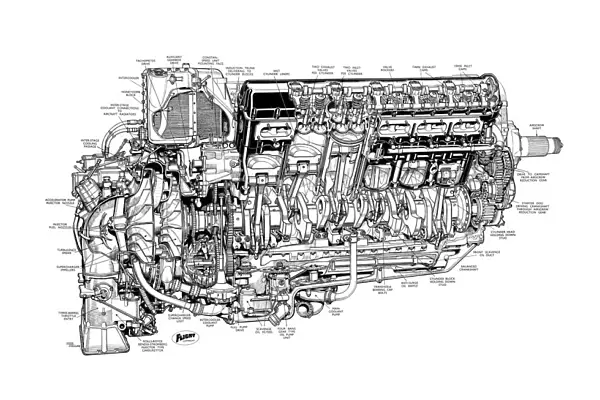 Rolls Royce Griffon Cutaway Drawing