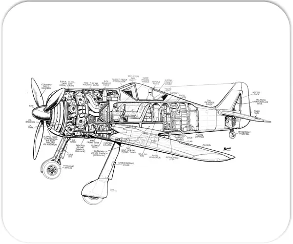 Focke Wulf FW190 Cutaway Drawing