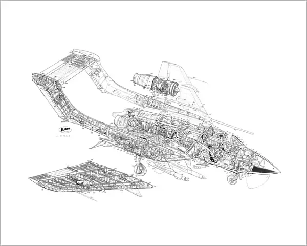 DH Sea Vixen Cutaway Drawing