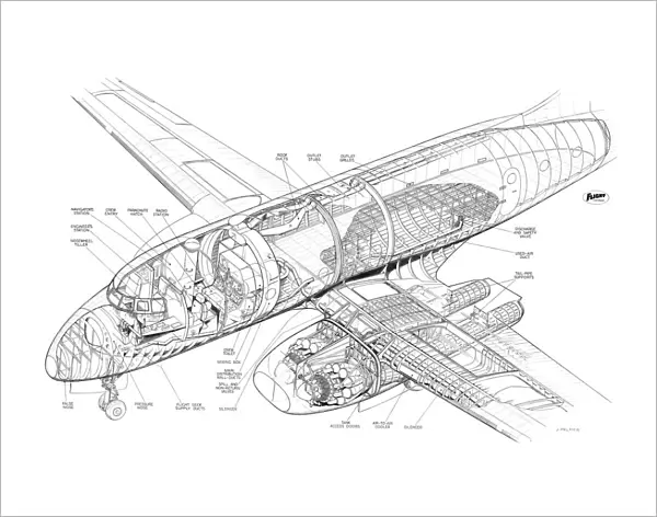 Avro 706 Ashton Cutaway Drawing