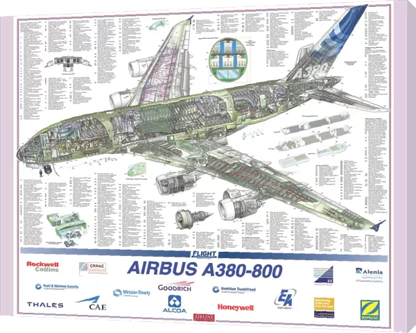 Airbus A380-800 Cutaway Poster