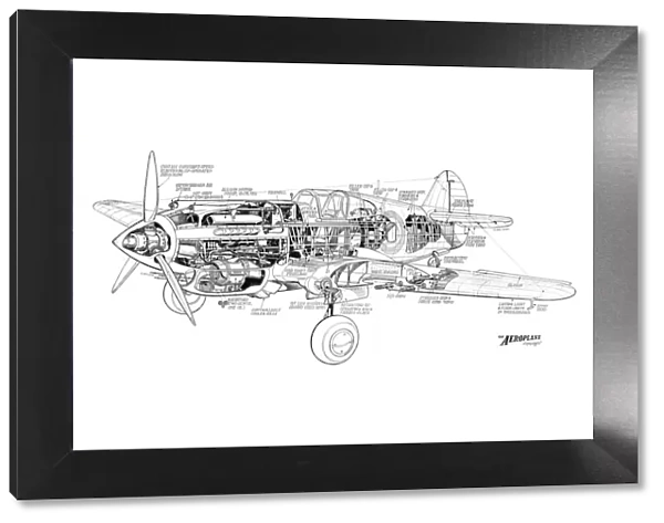 Curtiss Tomahawk Cutaway Drawing