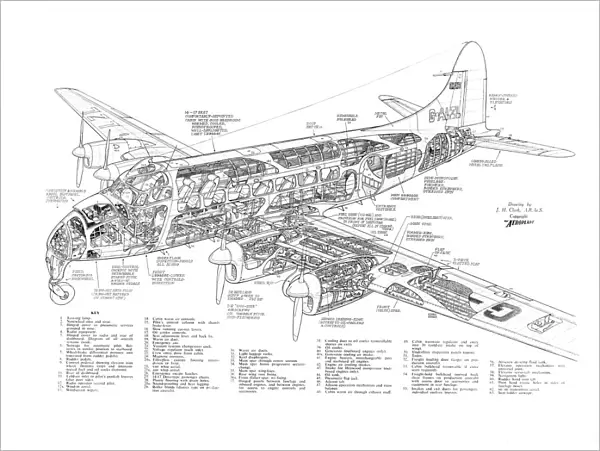 De Havilland DH114 Heron Cutaway Poster