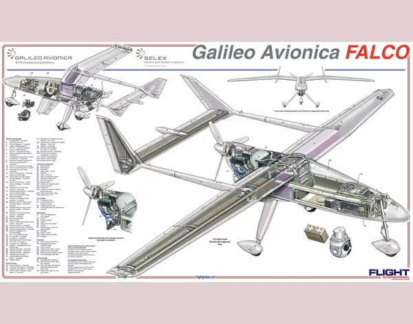 Galileo Falco Cutaway Poster