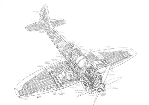 Hawker Tempest MkV Cutaway Drawing