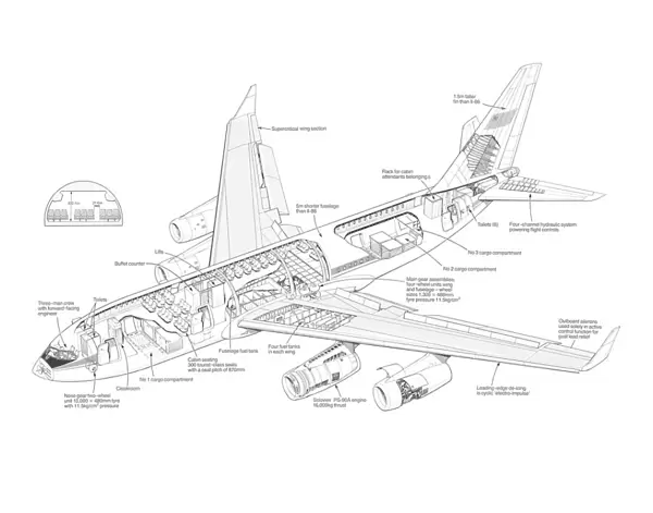 Ilyushin IL-96-300 Cutaway Drawing