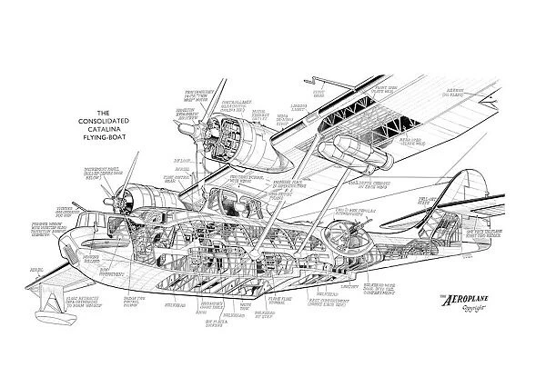 Consolidated Catalina Cutaway Drawing