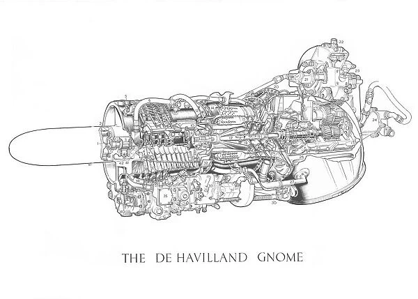 De Havilland Gnome Cutaway Drawing