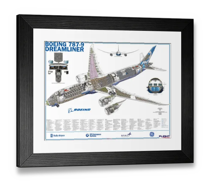 Framed Print : Boeing 787-9 Framed Print : Boeing 787-9