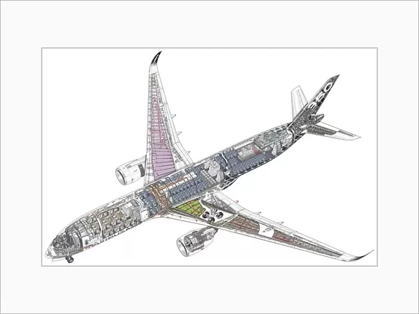 Airbus A350-900 Cutaway
