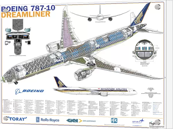 Singapore Airlines 787-10 Cutaway