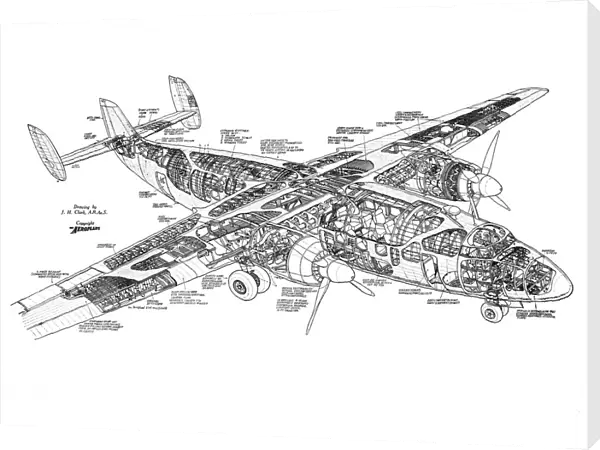 Airspeed Ambassador Cutaway