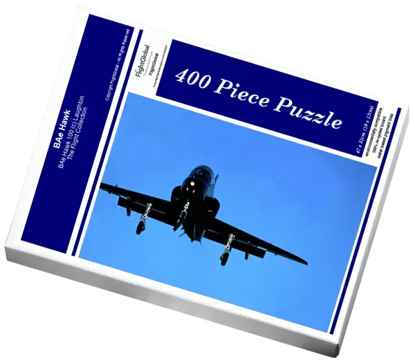 BAe Hawk 100 (c) Laughton. The Flight Collection