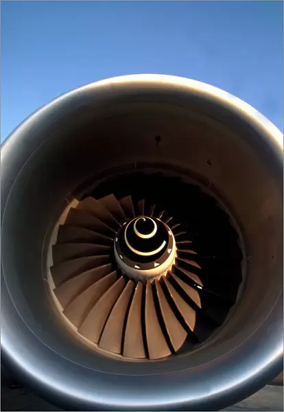 Engines: Rolls Royce Trent