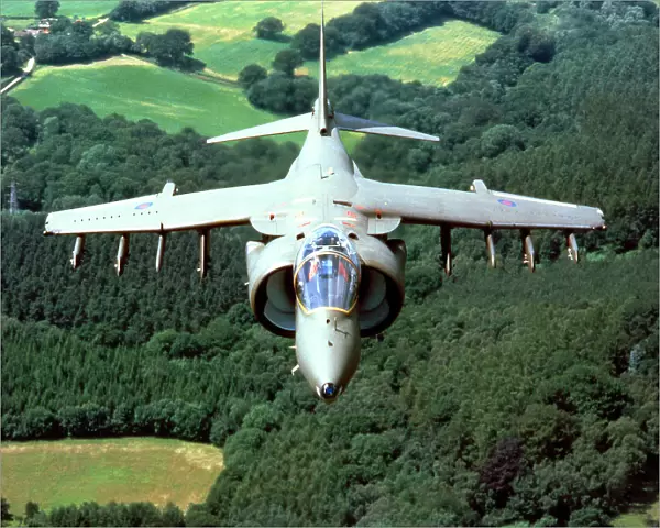 BAe Harrier GR5
