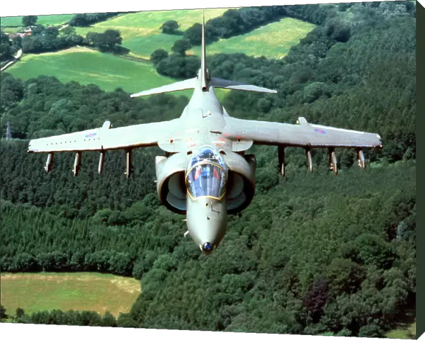 BAe Harrier GR5