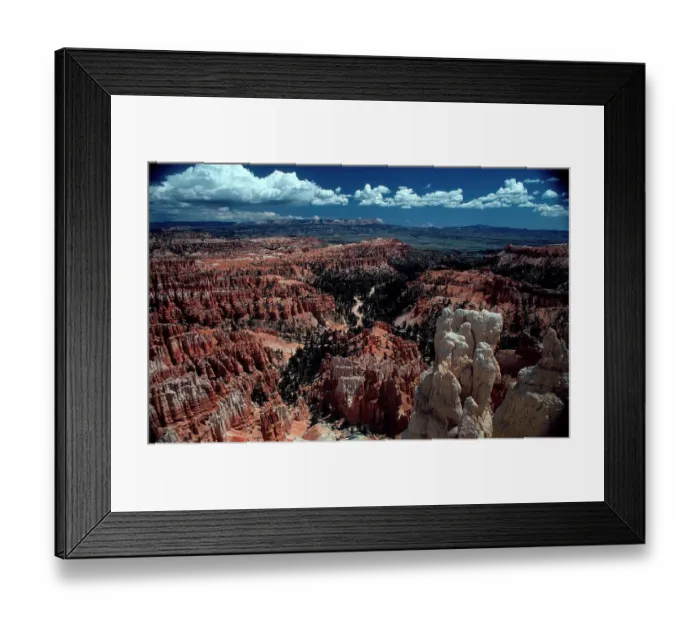 Framed Print : Bryce Canyon Utah USA (c) Collis Framed Print : Bryce Canyon Utah USA (c) Collis