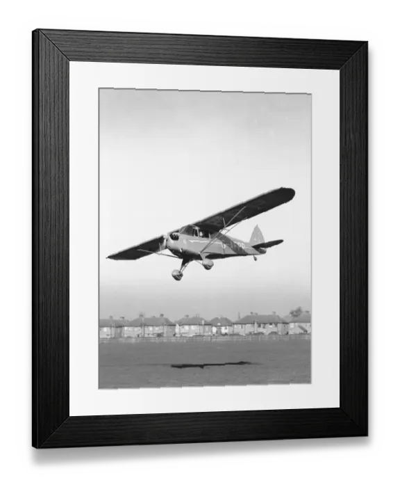 Framed Print : Piper Cub Framed Print : Piper Cub