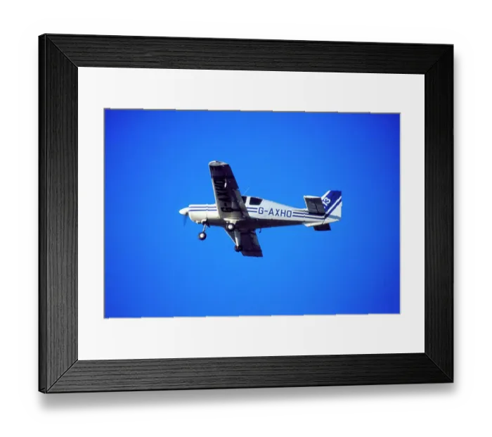 Framed Print : Beagle Pup Framed Print : Beagle Pup