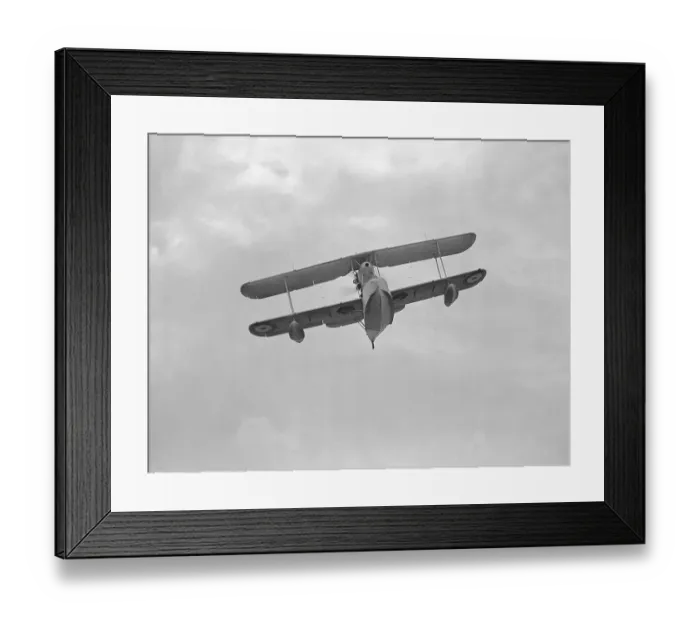 Framed Print : Supermarine Walrus (c) Flight The Flight Collection 020 8652 8888 Framed Print : Supermarine Walrus (c) Flight The Flight Collection 020 8652 8888
