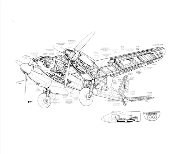 DH Mosquito NF11 Cutaway Drawing