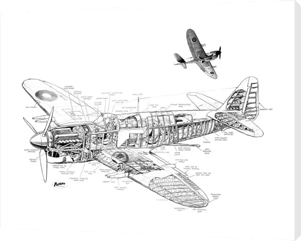 Fairey Firefly Cutaway Drawing