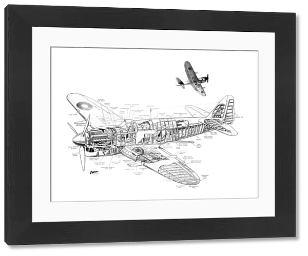 Fairey Firefly Cutaway Drawing