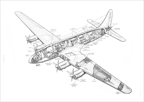 Avro 688 Tudor 1 Cutaway Drawing