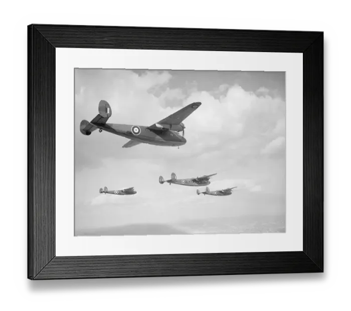 Framed Print : DH Flamingo Framed Print : DH Flamingo