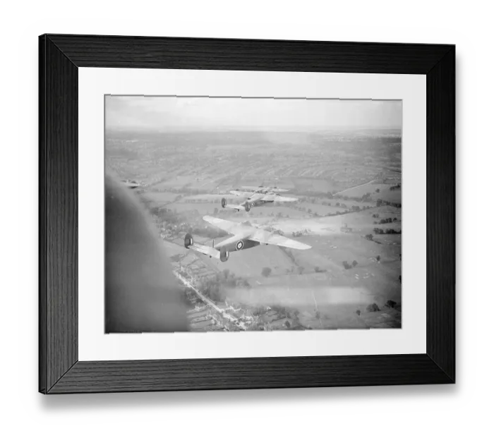 Framed Print : DH95 Flamingo Framed Print : DH95 Flamingo