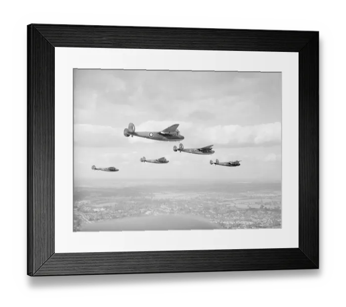Framed Print : DH 95 Flamingo