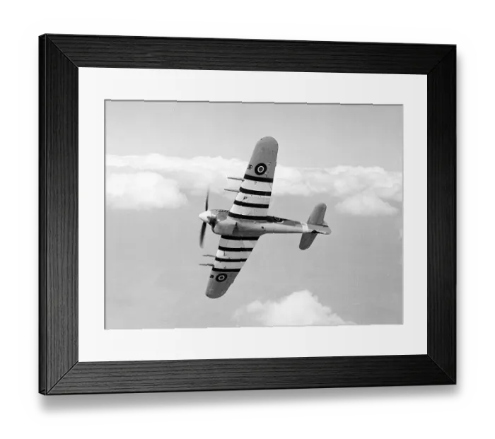 Framed Print : Hawker Typhoon 1A RAF EK286 16 / 04 / 43 (c) The Flight Collection Not to be reproduced without permission Framed Print : Hawker Typhoon 1A RAF EK286 16 / 04 / 43 (c) The Flight Collection Not to be reproduced without permission