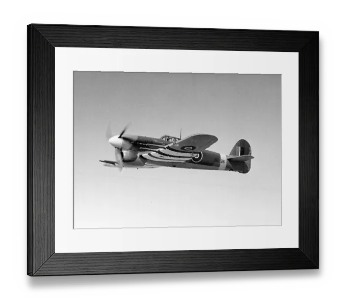 Framed Print : Hawker Typhoon 1A RAF EK286 16 / 04 / 43 (c) The Flight Collection Not to be reproduced without permission Framed Print : Hawker Typhoon 1A RAF EK286 16 / 04 / 43 (c) The Flight Collection Not to be reproduced without permission