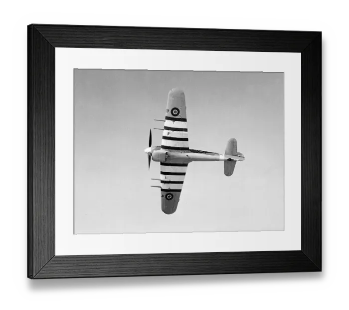 Framed Print : Hawker Typhoon 1A RAF EK286 16 / 04 / 43 (c) The Flight Collection Not to be reproduced without permission Framed Print : Hawker Typhoon 1A RAF EK286 16 / 04 / 43 (c) The Flight Collection Not to be reproduced without permission