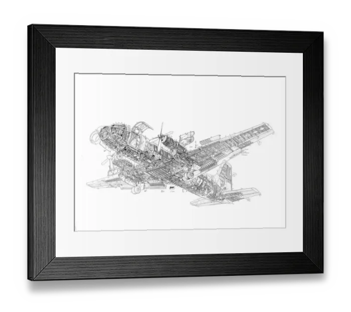 Framed Print : Avro 748 Cutaway Cutaway Drawing Framed Print : Avro 748 Cutaway Cutaway Drawing