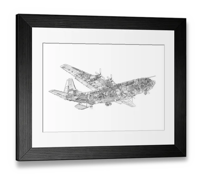 Framed Print : Short Belfast Cutaway Drawing Framed Print : Short Belfast Cutaway Drawing