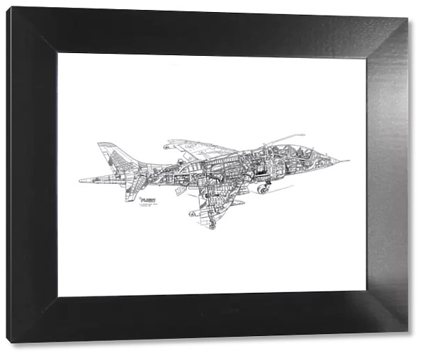 BAe Harrier T2 Cutaway Drawing