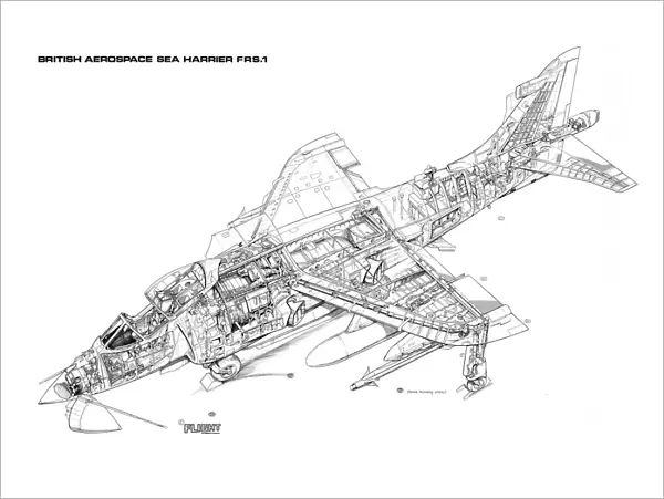 BAe Sea Harrier FRS1 Cutaway Drawing