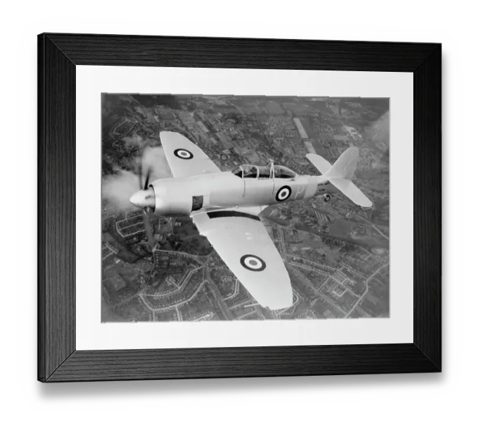 Framed Print : Hawker Sea Fury Framed Print : Hawker Sea Fury