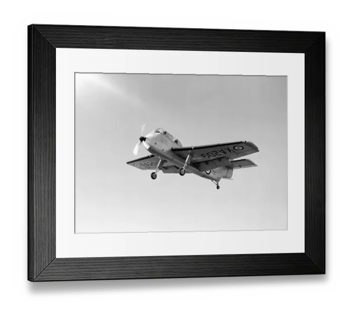 Framed Print : Shorts Seamew XA209 RN (c) The Flight Collection Framed Print : Shorts Seamew XA209 RN (c) The Flight Collection