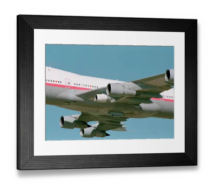 Framed Print : Flight, 30000914 Framed Print : Flight, 30000914
