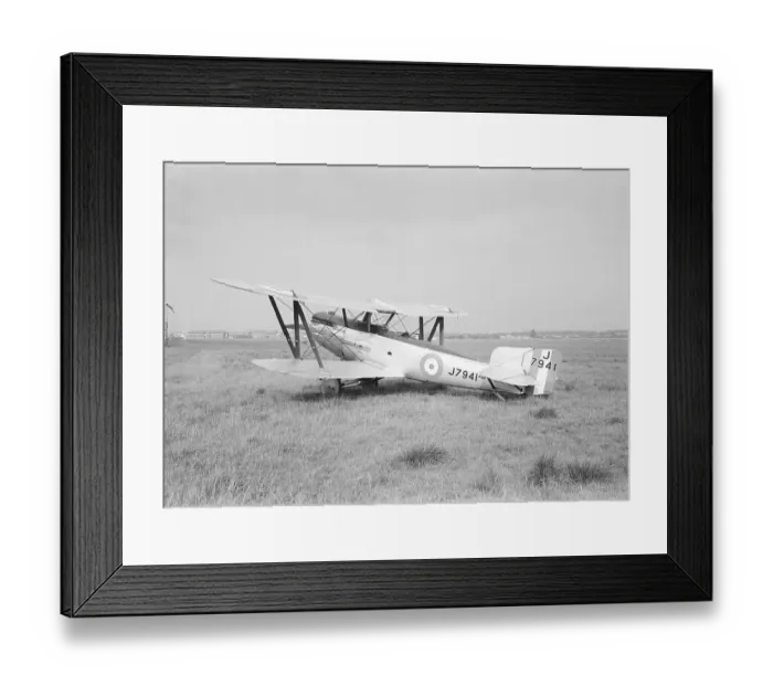 Framed Print : Fairey Fox Framed Print : Fairey Fox