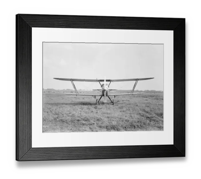 Framed Print : Fairey Fox Framed Print : Fairey Fox