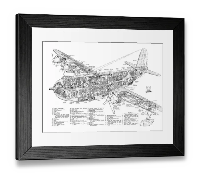 Framed Print : Short Shetland Cutaway Drawing Framed Print : Short Shetland Cutaway Drawing