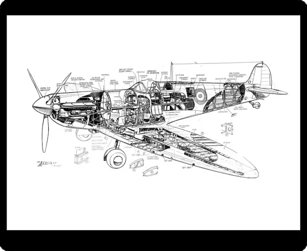 Supermarine Spitfire Mk 1A Cutaway Drawing